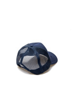 ICECREAM running dog trucker blauw