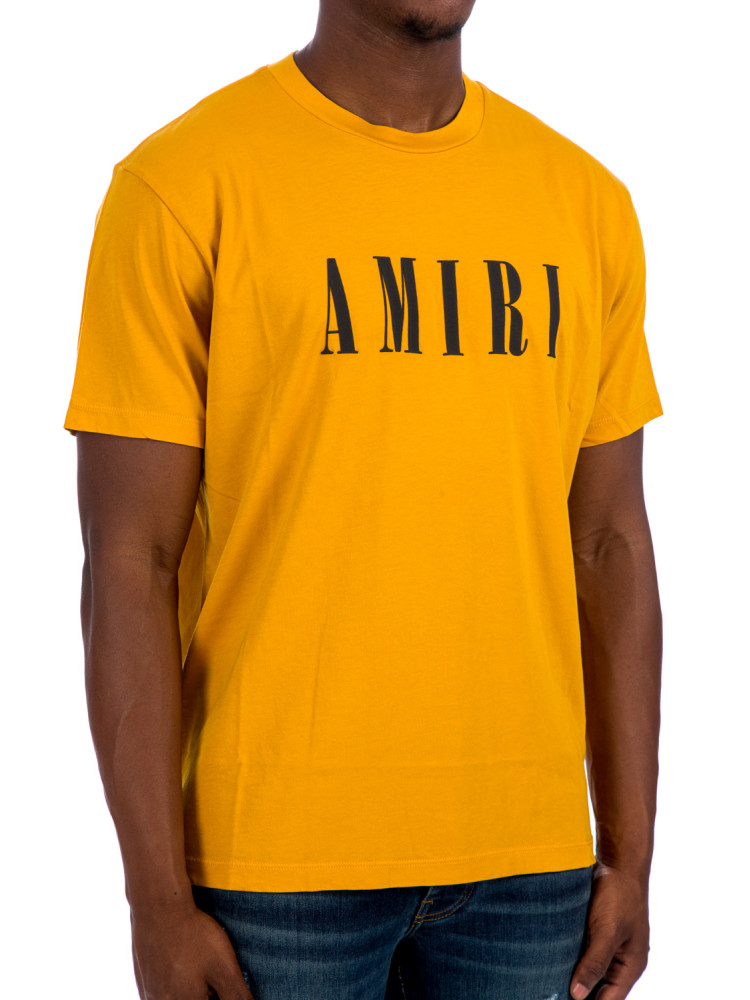 Amiri Core Logo Tee | Credomen