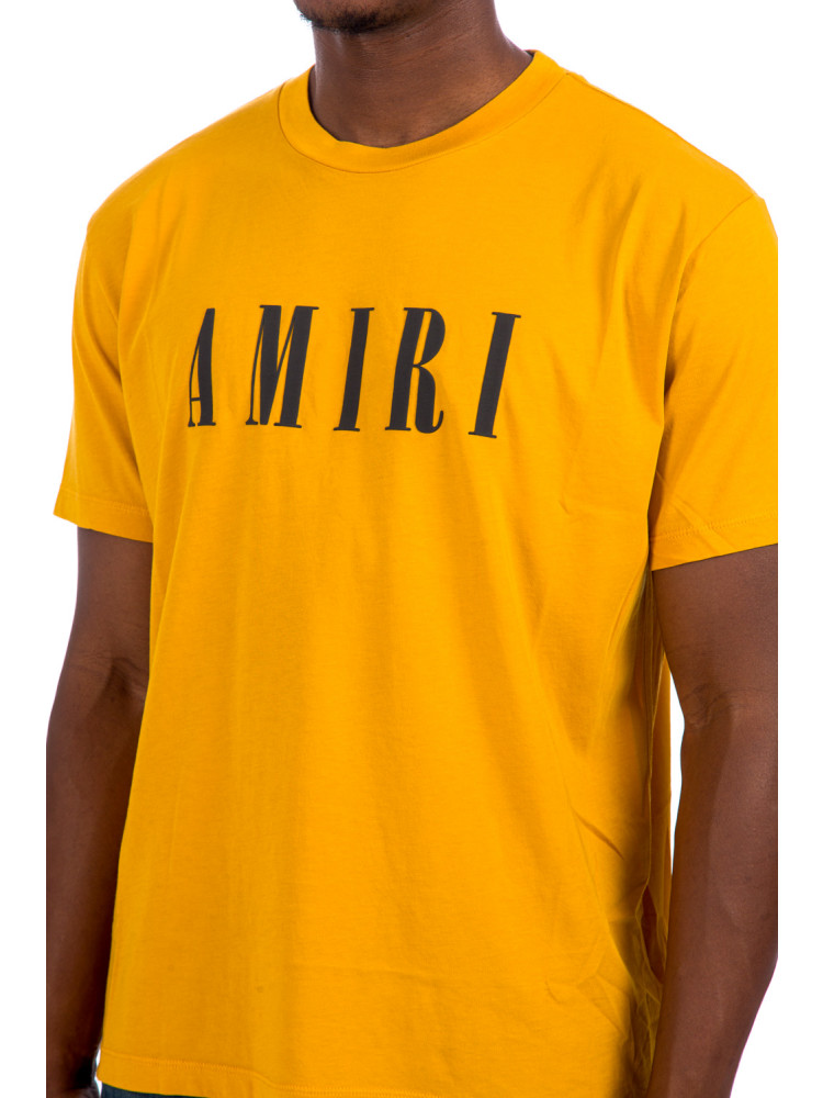 Amiri Core Logo Tee | Credomen