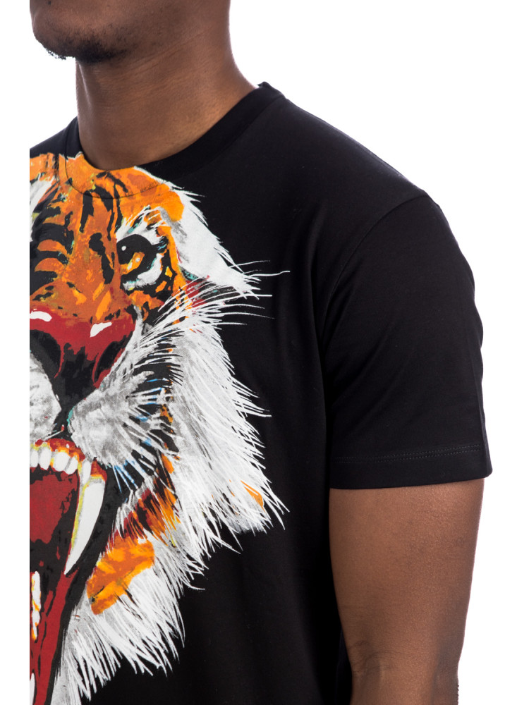 Luxury brands, Dsquared2 Sweatshirt Tiger