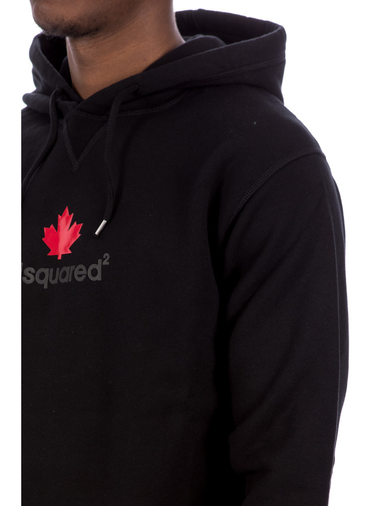 Dsquared2 Mini D2leaf Hoodie | Credomen