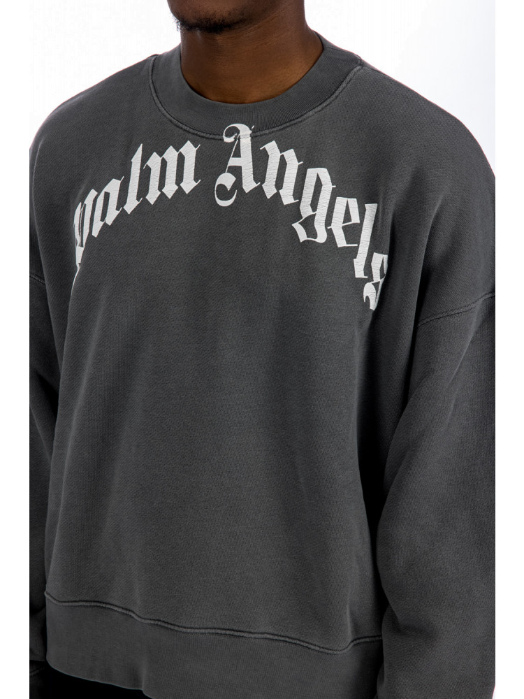 Palm Angels Gd Curved Logo Crw | Credomen